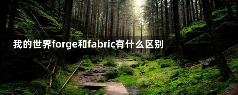 我的世界forge和fabric有什么区别