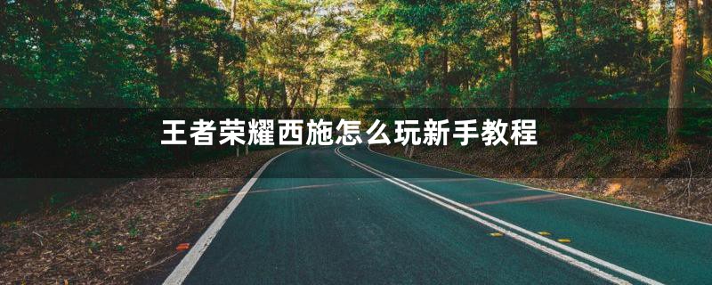 王者荣耀西施怎么玩新手教程