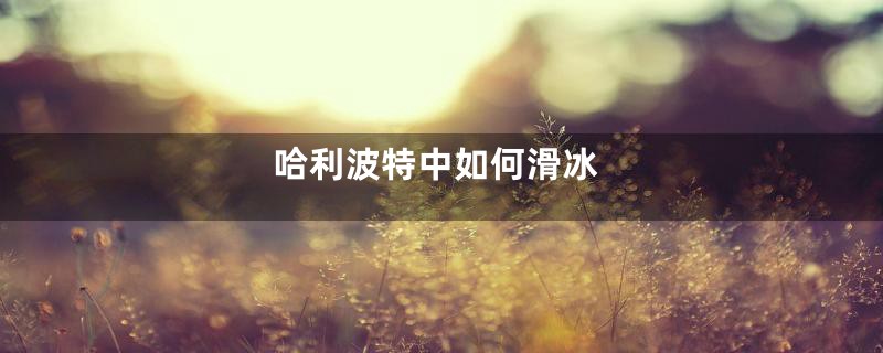 哈利波特中如何滑冰