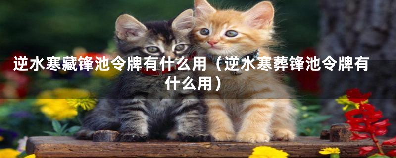 逆水寒藏锋池令牌有什么用(逆水寒葬锋池令牌有什么用)