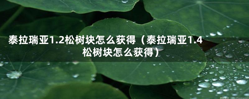 泰拉瑞亚1.2松树块怎么获得(泰拉瑞亚1.4松树块怎么获得)