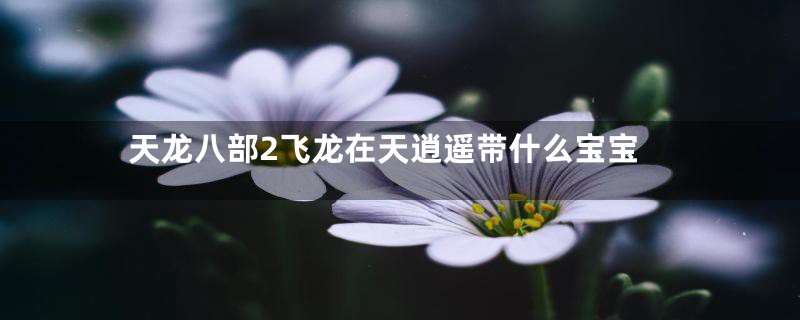 天龙八部2飞龙在天逍遥带什么宝宝