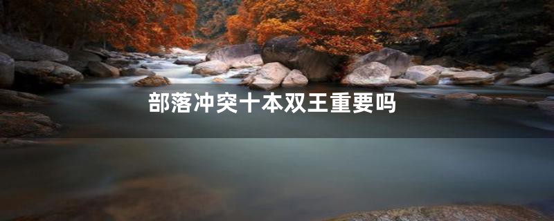 部落冲突十本双王重要吗