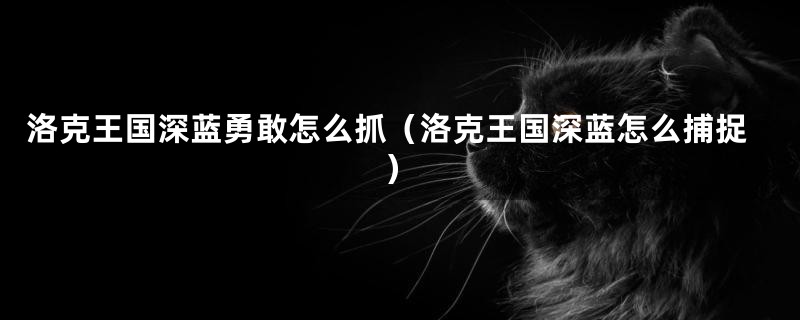 洛克王国深蓝勇敢怎么抓(洛克王国深蓝怎么捕捉)