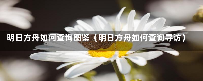 明日方舟如何查询图鉴(明日方舟如何查询寻访)