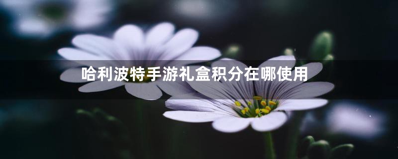哈利波特手游礼盒积分在哪使用