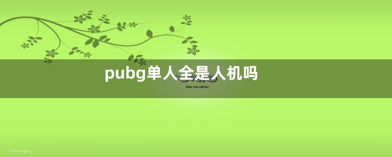 pubg单人全是人机吗