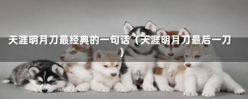 天涯明月刀最经典的一句话(天涯明月刀最后一刀)