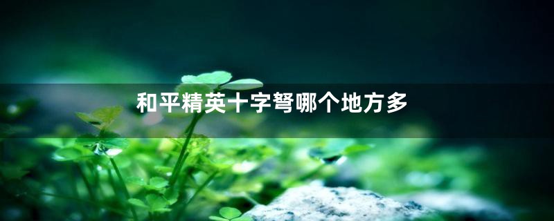 和平精英十字弩哪个地方多