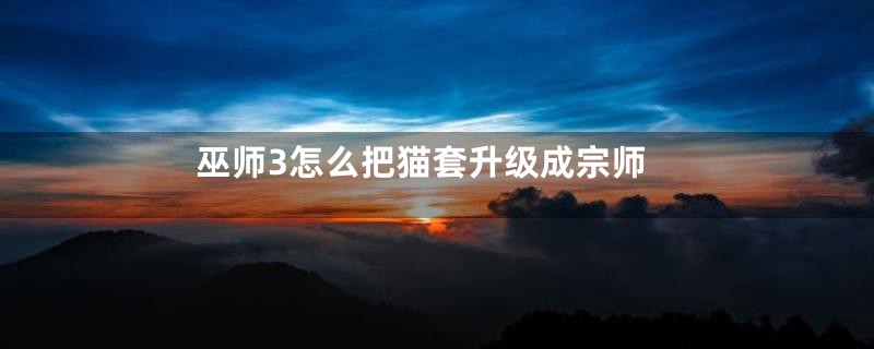 巫师3怎么把猫套升级成宗师
