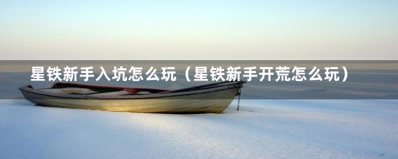 星铁新手入坑怎么玩(星铁新手开荒怎么玩)