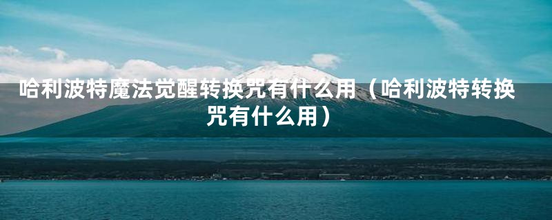 哈利波特魔法觉醒转换咒有什么用（哈利波特转换咒有什么用）