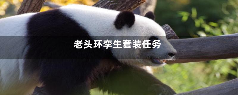 老头环孪生套装任务