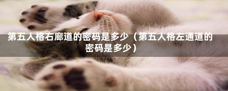 第五人格右廊道的密码是多少(第五人格左通道的密码是多少)