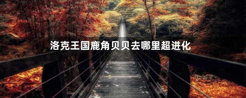 洛克王国鹿角贝贝去哪里超进化