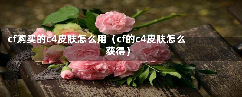 cf购买的c4皮肤怎么用(cf的c4皮肤怎么获得)