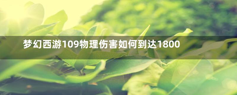 梦幻西游109物理伤害如何到达1800
