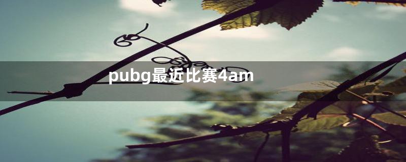 pubg最近比赛4am