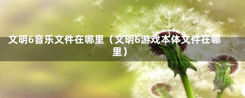 文明6音乐文件在哪里（文明6游戏本体文件在哪里）