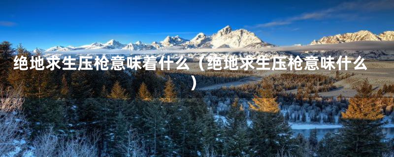 绝地求生压枪意味着什么(绝地求生压枪意味什么)
