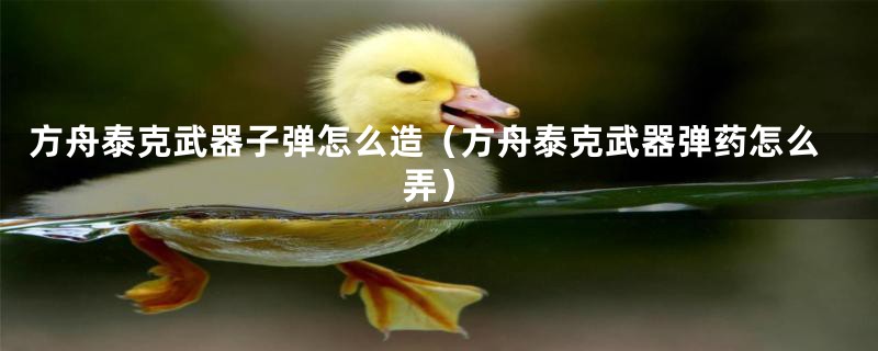 方舟泰克武器子弹怎么造(方舟泰克武器弹药怎么弄)