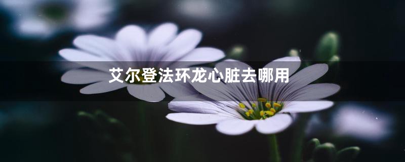 艾尔登法环龙心脏去哪用