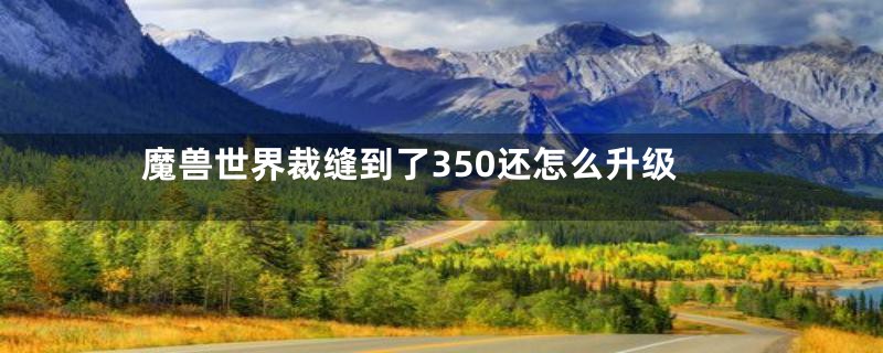 魔兽世界裁缝到了350还怎么升级