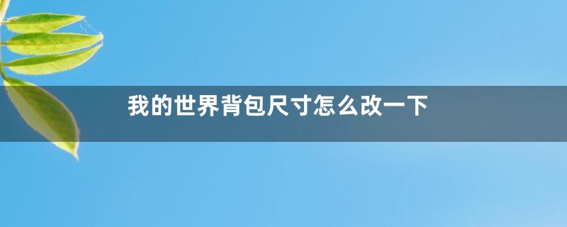 我的世界背包尺寸怎么改一下