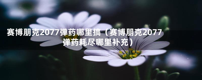 赛博朋克2077弹药哪里搞（赛博朋克2077弹药耗尽哪里补充）