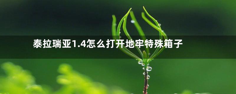 泰拉瑞亚1.4怎么打开地牢特殊箱子
