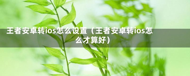 王者安卓转ios怎么设置(王者安卓转ios怎么才算好)