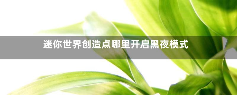 迷你世界创造点哪里开启黑夜模式