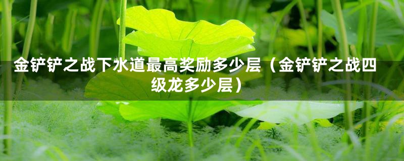 金铲铲之战下水道最高奖励多少层（金铲铲之战四级龙多少层）