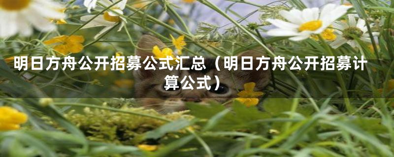 明日方舟公开招募公式汇总(明日方舟公开招募计算公式)