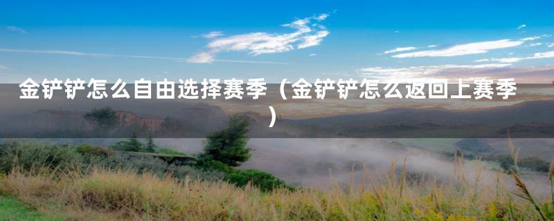 金铲铲怎么自由选择赛季(金铲铲怎么返回上赛季)