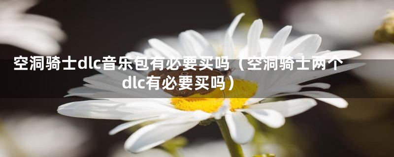 空洞骑士dlc音乐包有必要买吗(空洞骑士两个dlc有必要买吗)