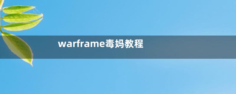 warframe毒妈教程