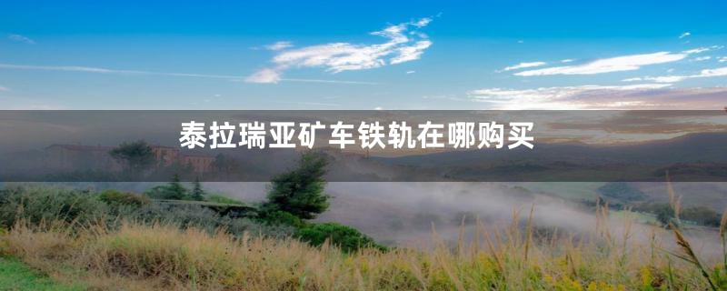 泰拉瑞亚矿车铁轨在哪购买