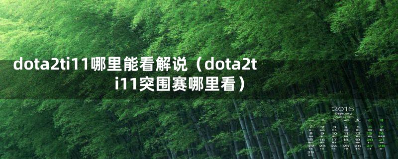 dota2ti11哪里能看解说(dota2ti11突围赛哪里看)