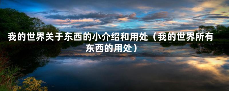 我的世界关于东西的小介绍和用处(我的世界所有东西的用处)