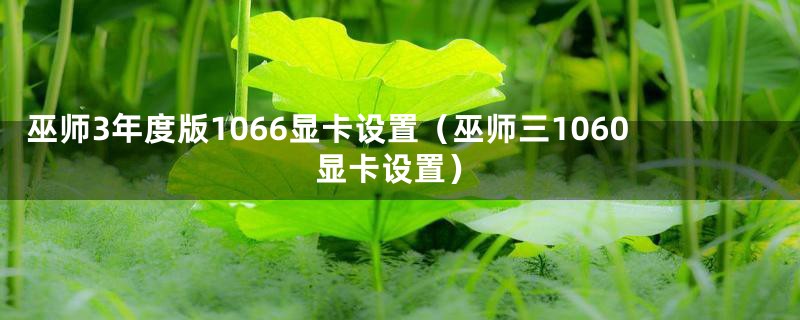 巫师3年度版1066显卡设置(巫师三1060显卡设置)