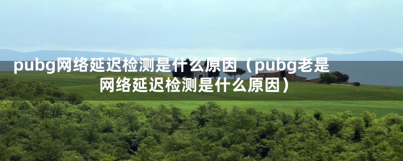 pubg网络延迟检测是什么原因(pubg老是网络延迟检测是什么原因)