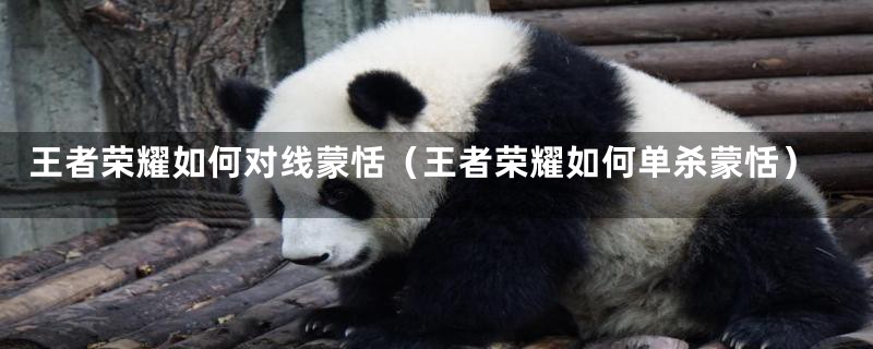 王者荣耀如何对线蒙恬（王者荣耀如何单杀蒙恬）