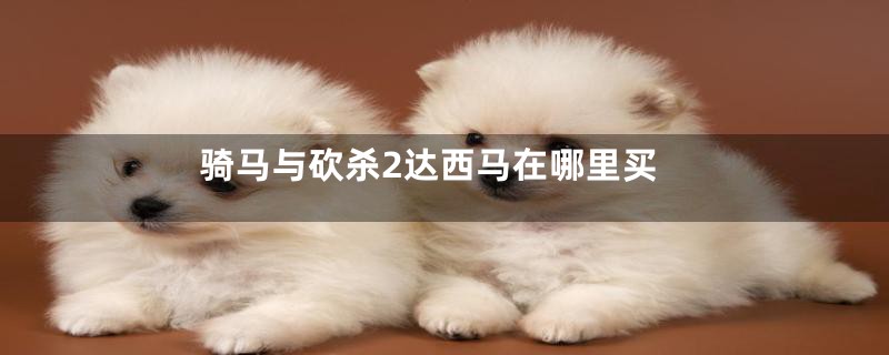 骑马与砍杀2达西马在哪里买