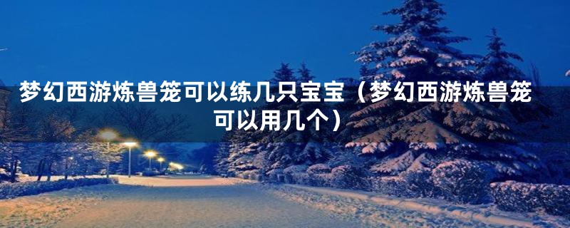 梦幻西游炼兽笼可以练几只宝宝(梦幻西游炼兽笼可以用几个)