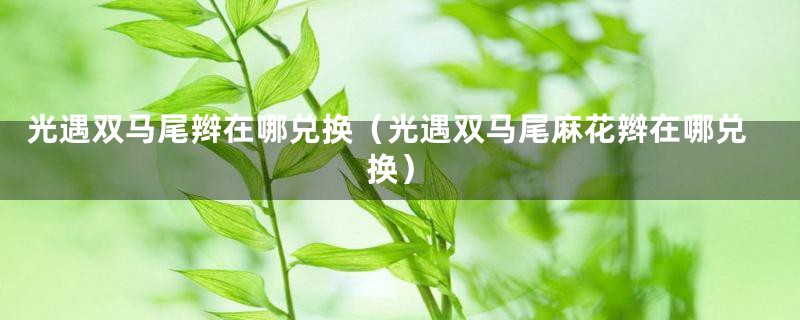 光遇双马尾辫在哪兑换(光遇双马尾麻花辫在哪兑换)