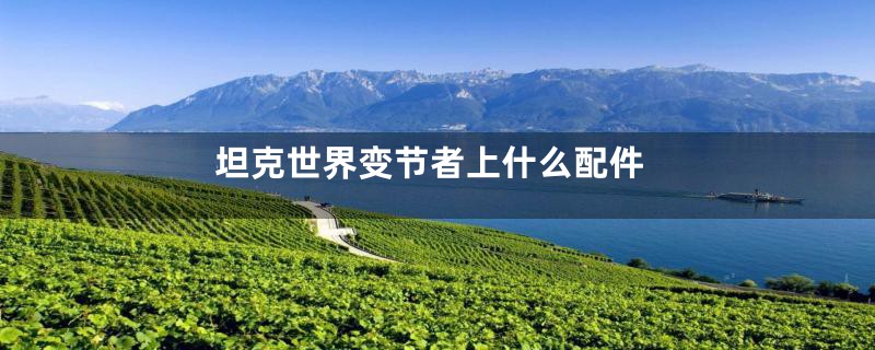 坦克世界变节者上什么配件