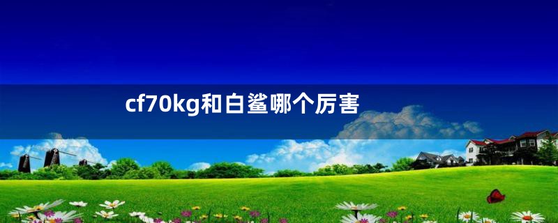 cf70kg和白鲨哪个厉害