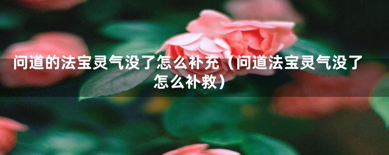 问道的法宝灵气没了怎么补充(问道法宝灵气没了怎么补救)
