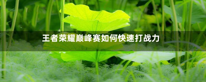 王者荣耀巅峰赛如何快速打战力